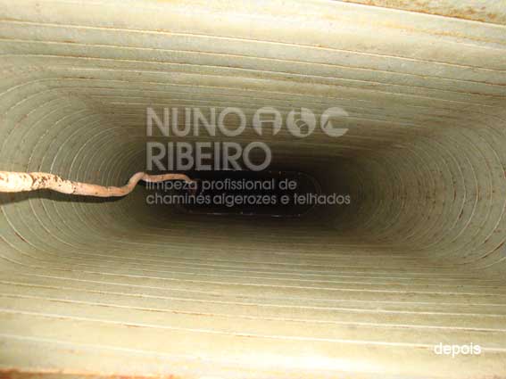 Nuno Ribeiro Limpa Chamines Image