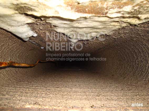 Nuno Ribeiro Limpa Chamines Image