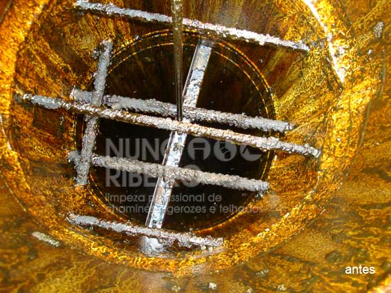 Nuno Ribeiro Limpa Chamines Image