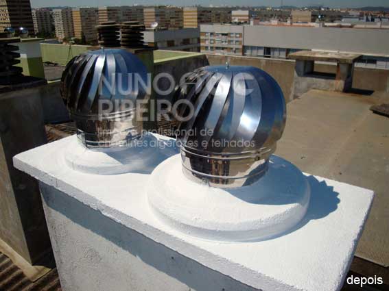 Nuno Ribeiro Limpa Chamines Image