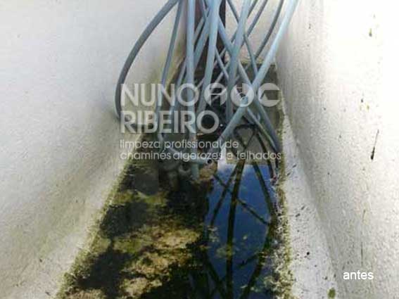 Nuno Ribeiro Limpa Chamines Image