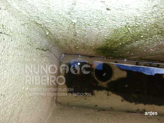 Nuno Ribeiro Limpa Chamines Image