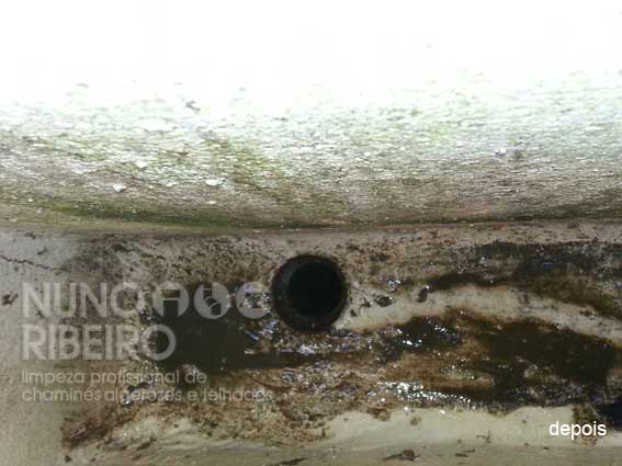 Nuno Ribeiro Limpa Chamines Image