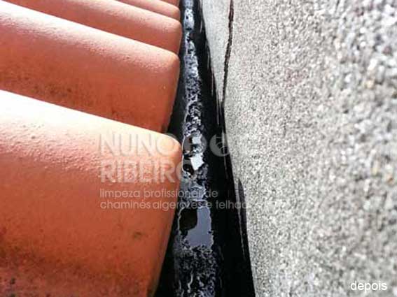 Nuno Ribeiro Limpa Chamines Image