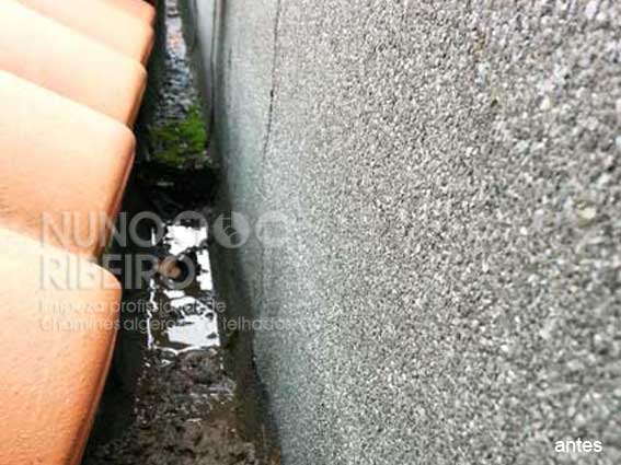 Nuno Ribeiro Limpa Chamines Image