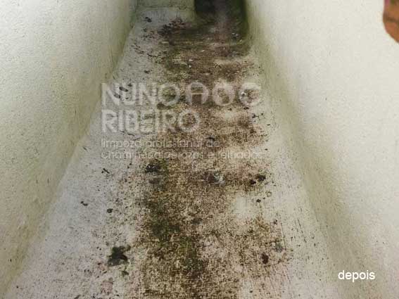 Nuno Ribeiro Limpa Chamines Image