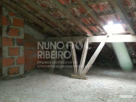 Nuno Ribeiro Limpa Chamines Image