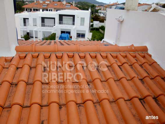 Nuno Ribeiro Limpa Chamines Image