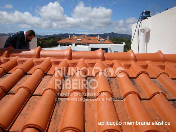 Nuno Ribeiro Limpa Chamines Image