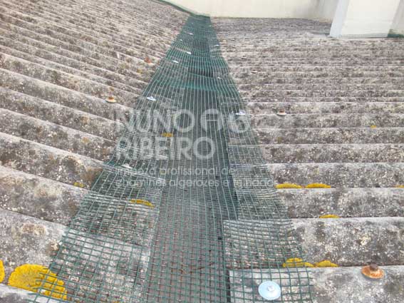 Nuno Ribeiro Limpa Chamines Image